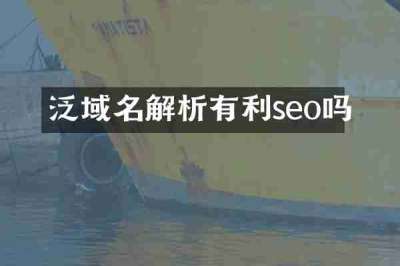 泛域名解析有利seo吗