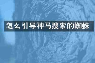 怎么引导神马搜索的蜘蛛