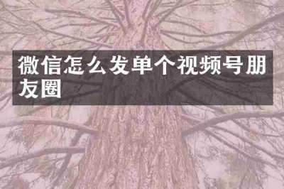 微信怎么发单个视频号朋友圈