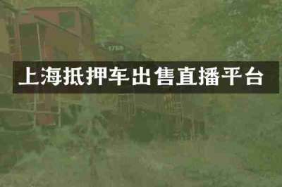 上海抵押车出售直播平台