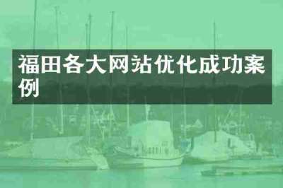 福田各大网站优化成功案例