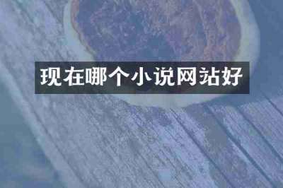 现在哪个小说网站好