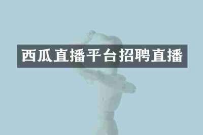 西瓜直播平台招聘直播