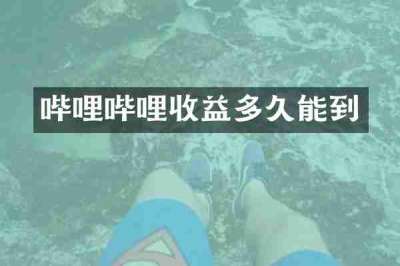 哔哩哔哩收益多久能到
