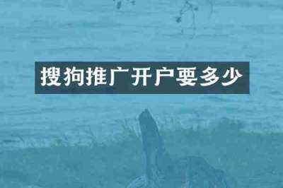 搜狗推广开户要多少