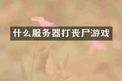 什么服务器打丧尸游戏