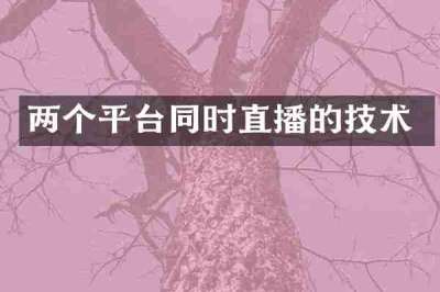 两个平台同时直播的技术