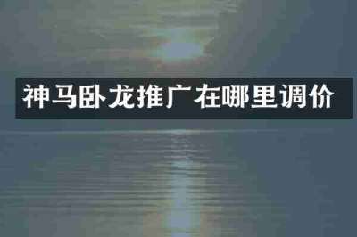神马卧龙推广在哪里调价