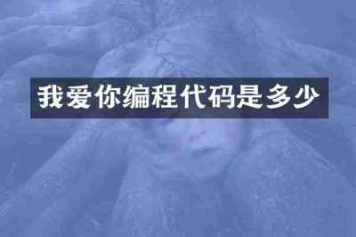 我爱你编程代码是多少