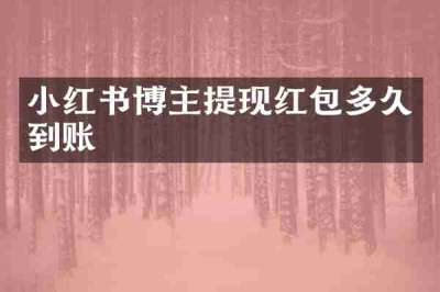 小红书博主提现红包多久到账