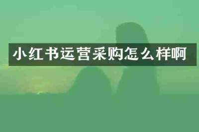 小红书运营采购怎么样啊