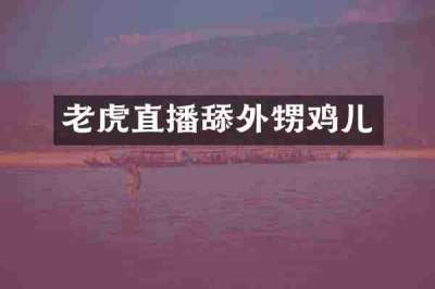 老虎直播舔外甥鸡儿