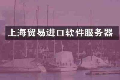 上海贸易进口软件服务器
