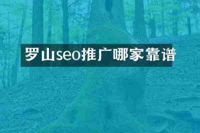 罗山seo推广哪家靠谱