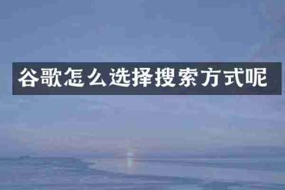 谷歌怎么选择搜索方式呢