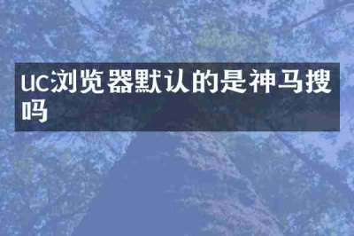 uc浏览器默认的是神马搜索吗