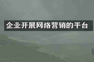 企业开展网络营销的平台