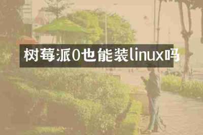 树莓派0也能装linux吗