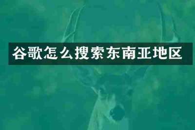 谷歌怎么搜索东南亚地区