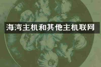 海湾主机和其他主机联网