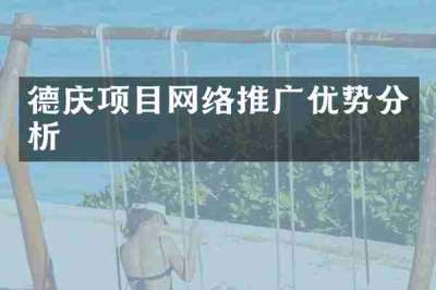 德庆项目网络推广优势分析