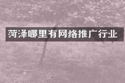 菏泽哪里有网络推广行业