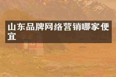 山东品牌网络营销哪家便宜
