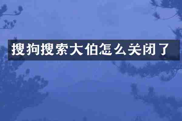 搜狗搜索大伯怎么关闭了