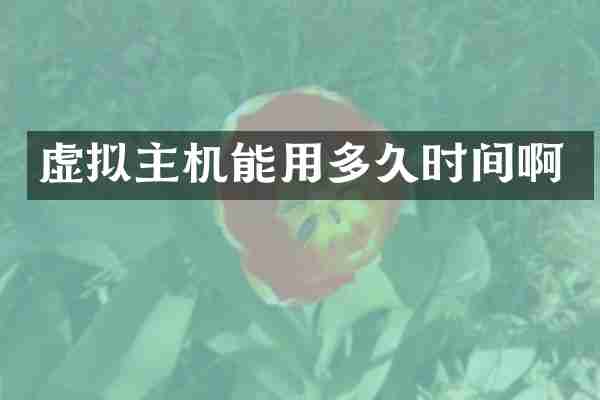 虚拟主机能用多久时间啊