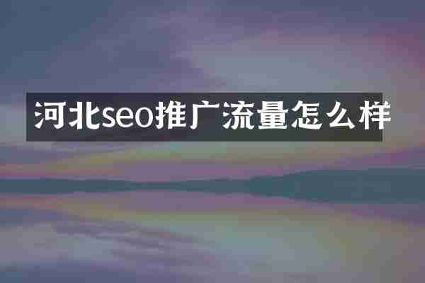 河北seo推广流量怎么样