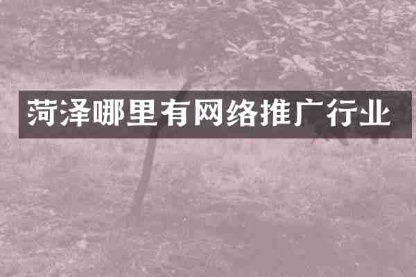 菏泽哪里有网络推广行业