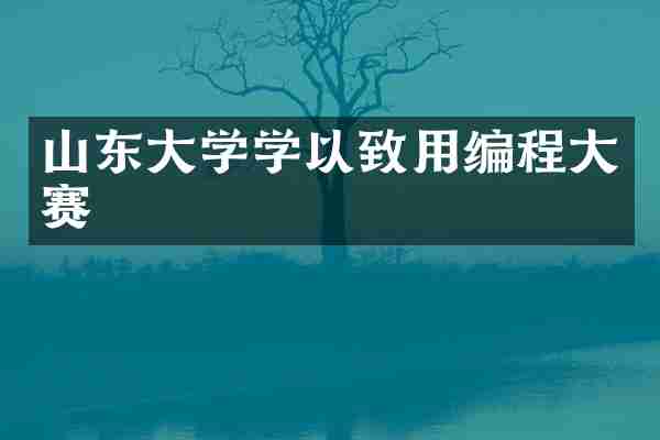 山东大学学以致用编程大赛