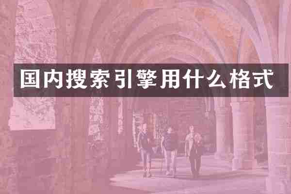 国内搜索引擎用什么格式