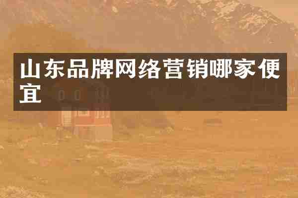 山东品牌网络营销哪家便宜
