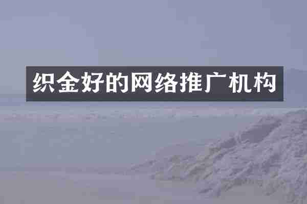 织金好的网络推广机构