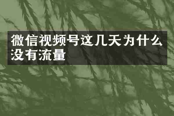 微信视频号这几天为什么没有流量