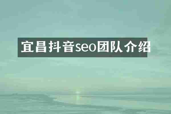 宜昌抖音seo团队介绍