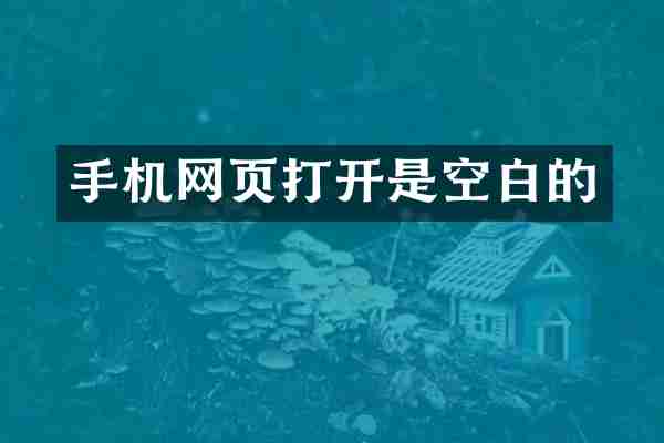 手机网页打开是空白的