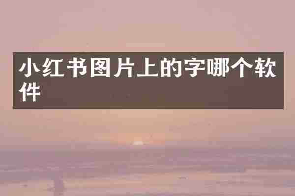 小红书图片上的字哪个软件