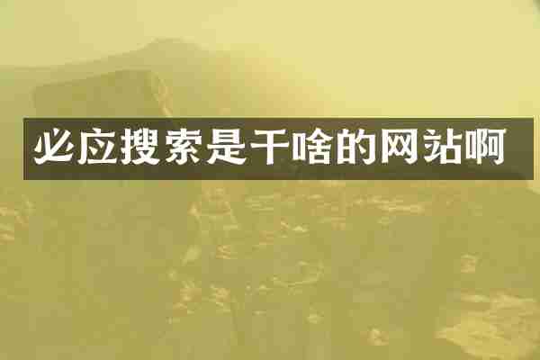 必应搜索是干啥的网站啊