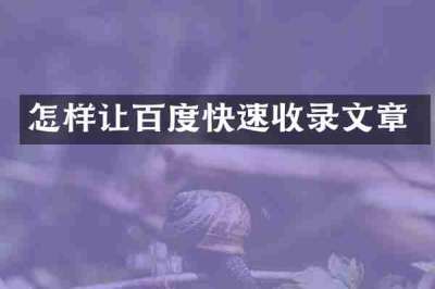 怎样让百度快速收录文章