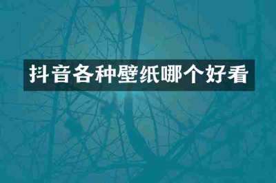 抖音各种壁纸哪个好看