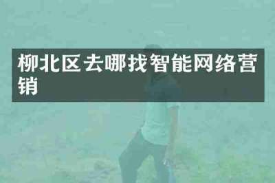 柳北区去哪找智能网络营销
