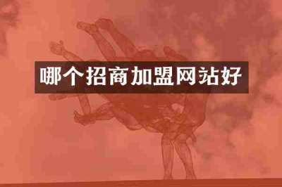 哪个招商加盟网站好