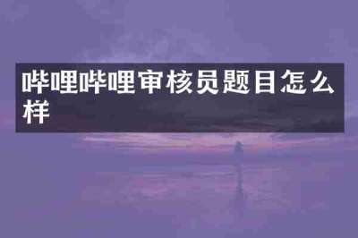 哔哩哔哩审核员题目怎么样