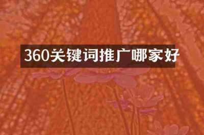 360关键词推广哪家好