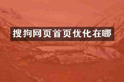 搜狗网页首页优化在哪