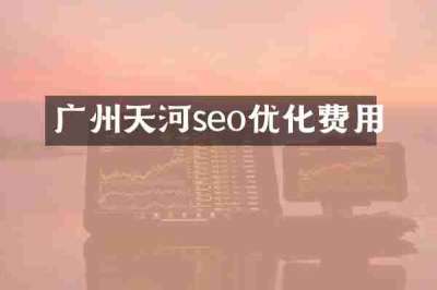 广州天河seo优化费用