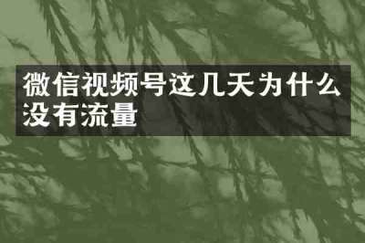 微信视频号这几天为什么没有流量