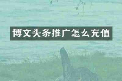 博文头条推广怎么充值